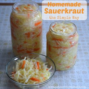 Homemade sauerkraut is raw, fermented, and packed full of good bacteria. Here is how to make sauerkraut the simple, or poor man's way at home.