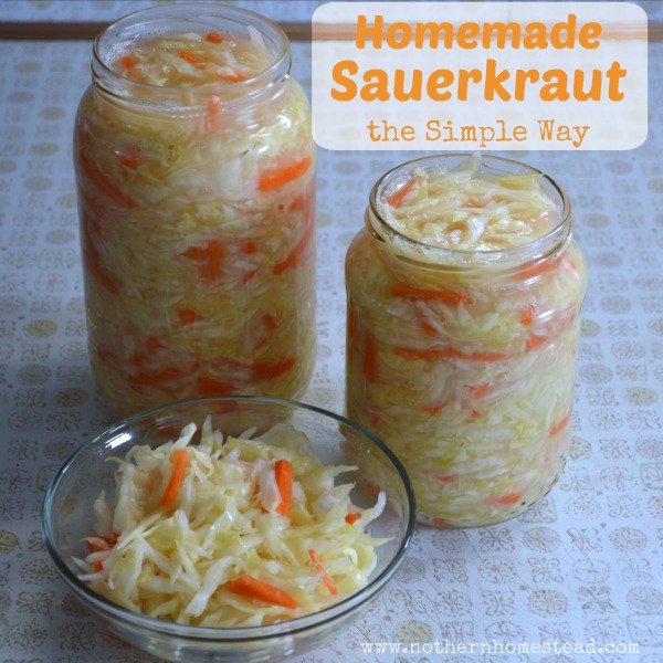 Homemade sauerkraut is raw, fermented, and packed full of good bacteria. This recipe will make a crispy and crunchy sauerkraut the simple way.