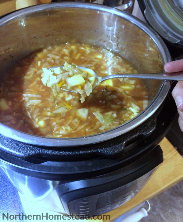 Cabbage Borscht Soup in the Instant Pot