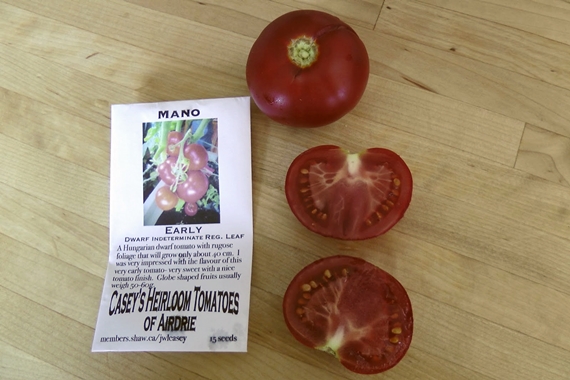 Heirloom tomato varieties we grow in a northern garden - Mano