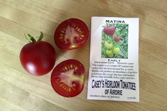 Heirloom tomato varieties we grow in a northern garden - Matina (aka Tamina)