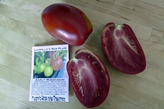 Heirloom tomato varieties we grow in a northern garden - Ludmilla’s Red Plum