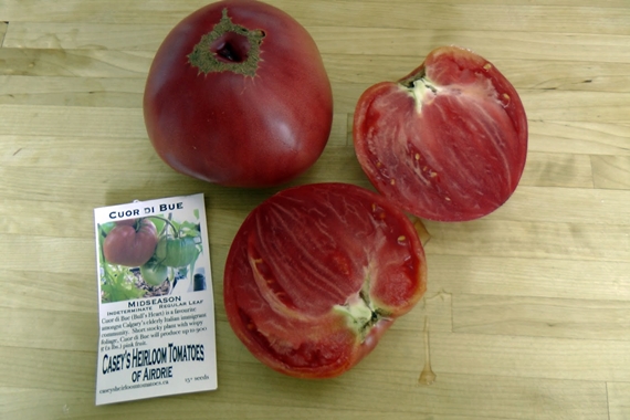 Heirloom tomato varieties we grow in a northern garden - Cuor di Bue or Bull's Heart