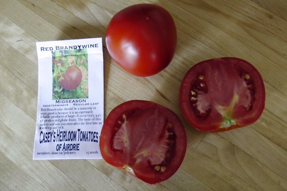 Heirloom tomato varieties we grow in a northern garden - Red Brandywine