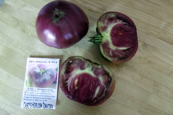 Heirloom tomato varieties we grow in a northern garden - JD’s Special C-Tex