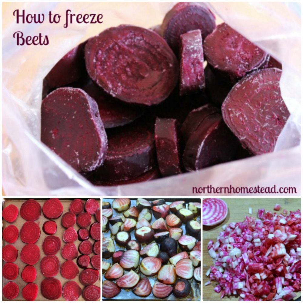 There are many ways to preserve beets, here we share how to freeze beets in 3 different ways: Cooked, roasted and chooped raw.