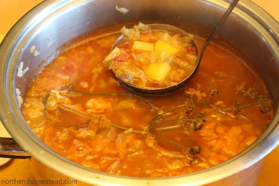 Cabbage Borscht Soup Recipe
