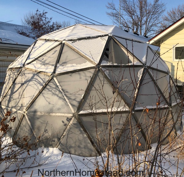 Covering a Geodesic Dome Greenhouse