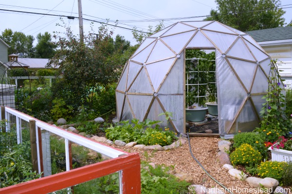 Covering the geodesic dome greenhouse
