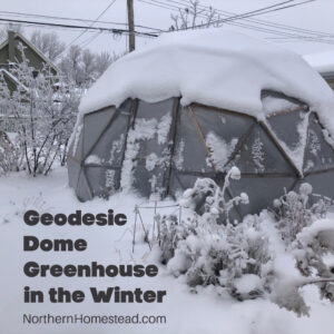 Geodesic Dome Greenhouse in the Winter