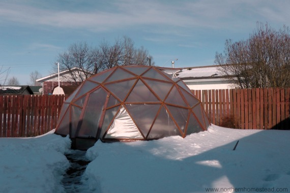 GeoDome Greenhouse in the Winter