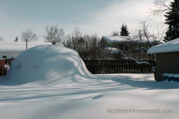 Geodome greenhouse in the winter