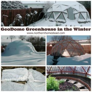Answering the important question - Can you grow food in a GeoDome Greenhouse in the winter? Read on. er