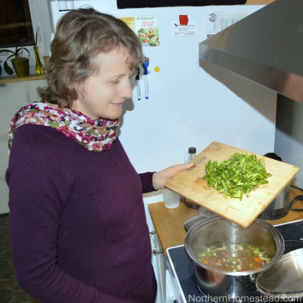 Homemade 5 Vegetables Soup