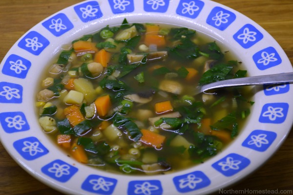 Homemade 5 Vegetables Soup