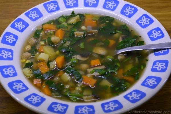 Homemade Vegetable Soup 5