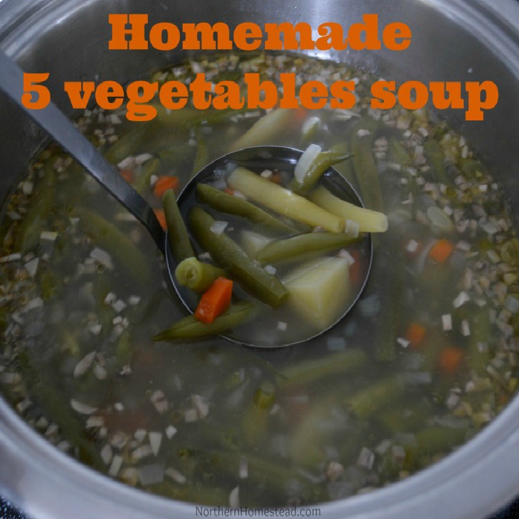 'Homemade 5 Vegetables Soup' is very yummy, easy to make, and can save you money. A recipe with vegetables that have to go make lunches for 3 days.