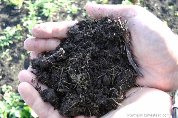 Soil for an edible window garden