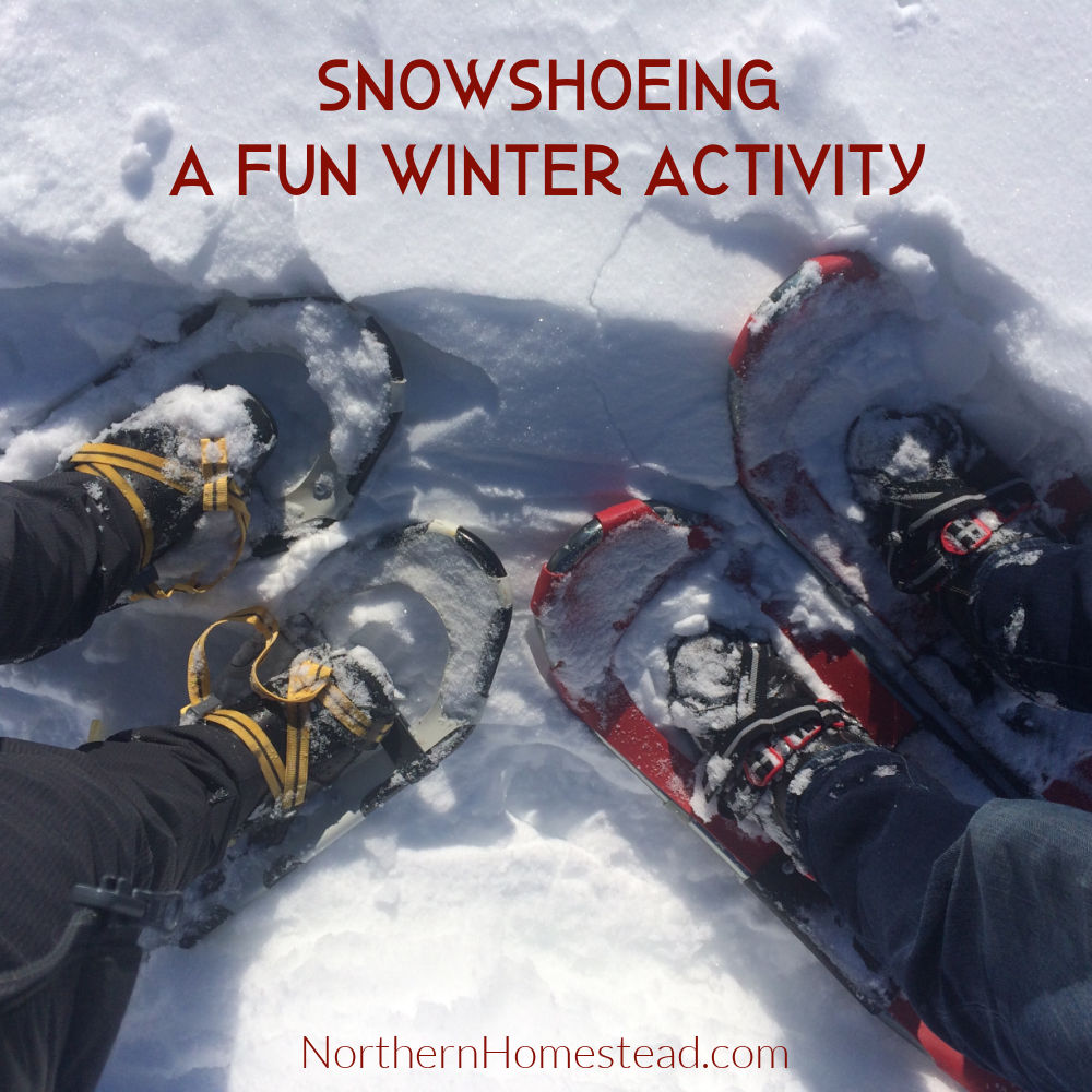 Snowshoeing, a Fun Winter Activity