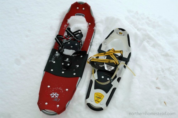Snowshoeing, a Fun Winter Activity