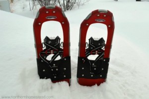 Snowshoeing, a Fun Winter Activity