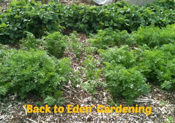 How to Deal with Garden Weeds - Back to Eden garden mulch