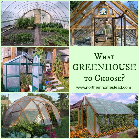 What greenhouse to choose?
