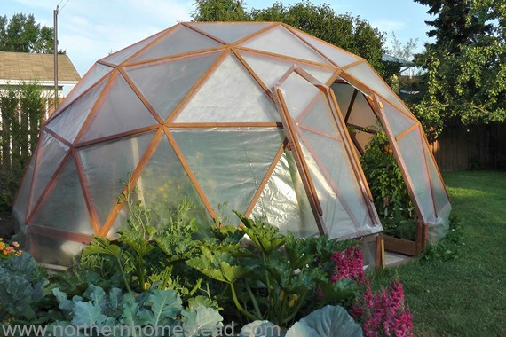 What greenhouse to choose?