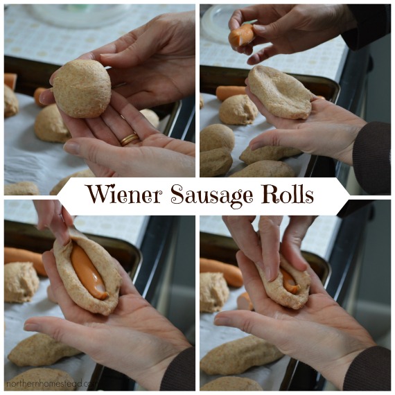 Wiener Sausage Rolls