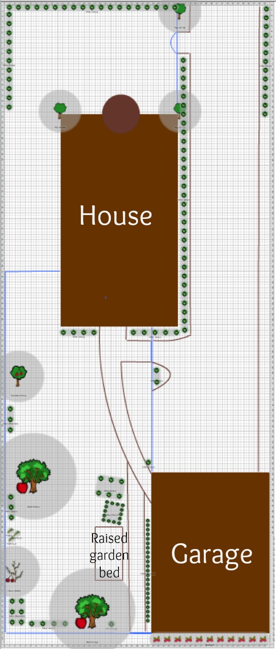 1/8 Acre Northern Homestead - Site Survey