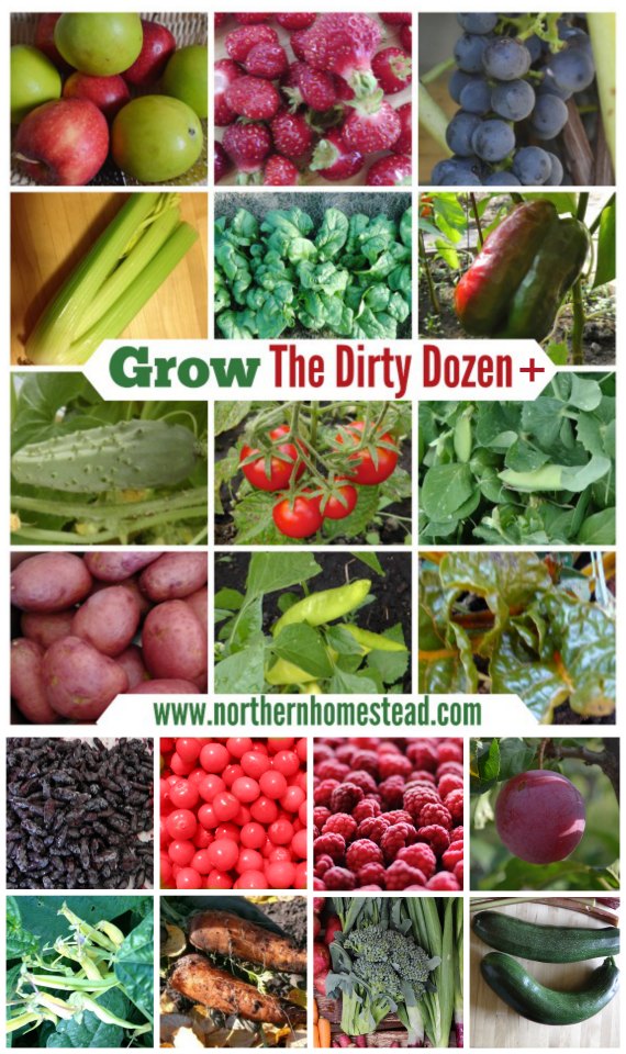 Grow the Dirty Dozen Plus Foods