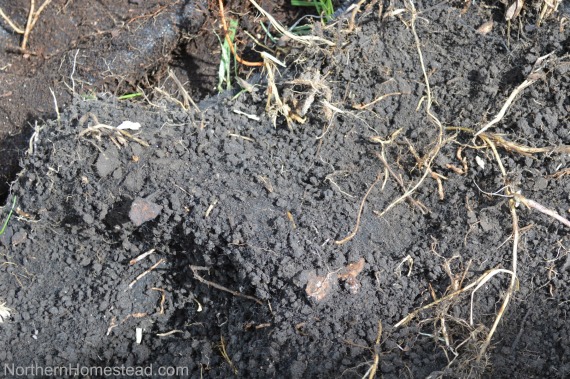 Do Not Use Weed Control Fabric in the Garden