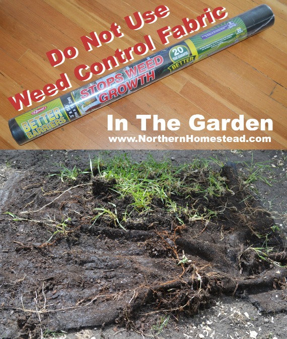 Do Not Use Weed Control Fabric in the Garden