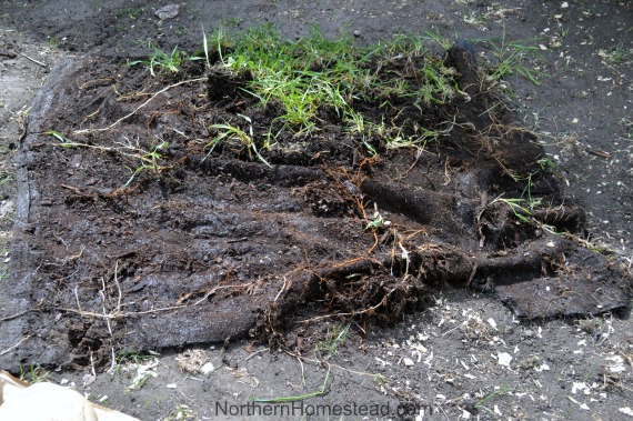 Do Not Use Weed Control Fabric in the Garden