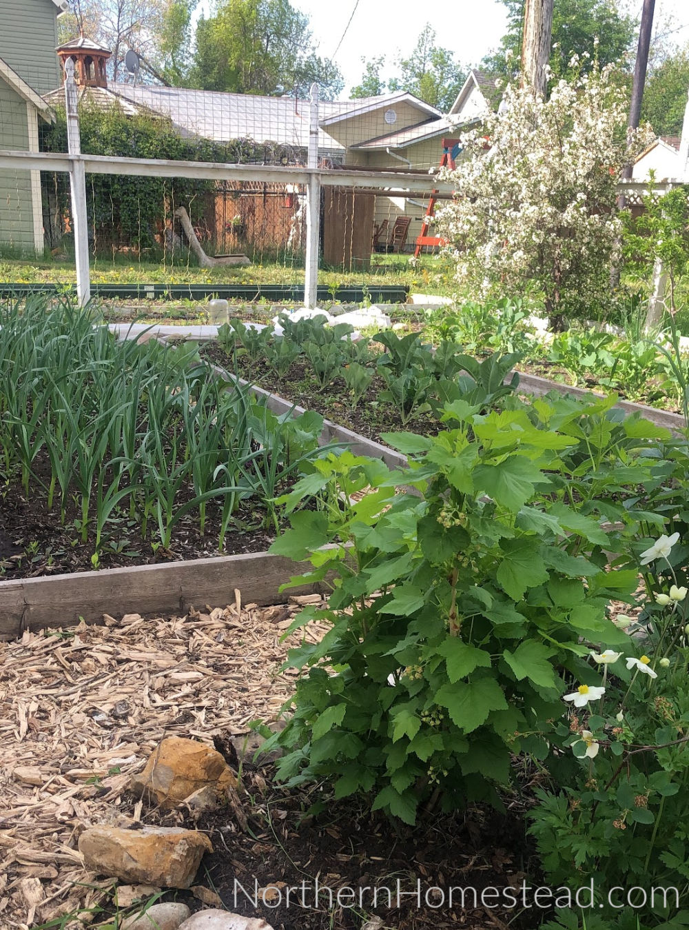 Where does our Homegrown Food come from in the Winter