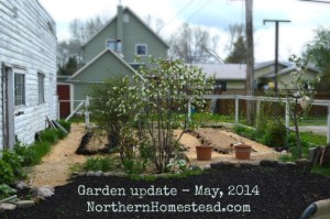 Garden update – May 30, 2014