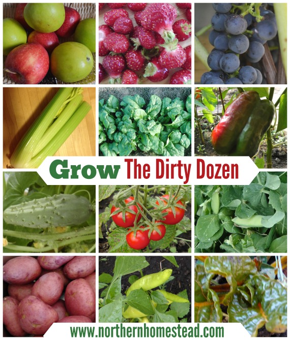 grow foods chart