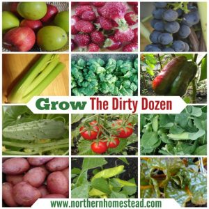 It would be optimal to have all fruits and vegetable grown without pesticides, but since we only can grow a limited number, grow the dirty dozen foods.