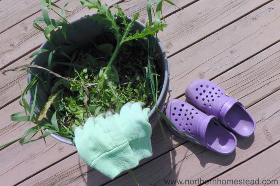How to Deal with Garden Weeds - Weed by hand