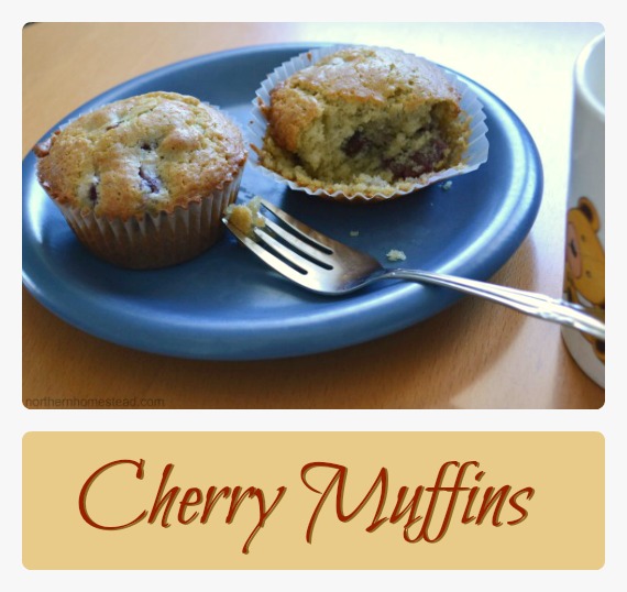 Cherry muffins recipe