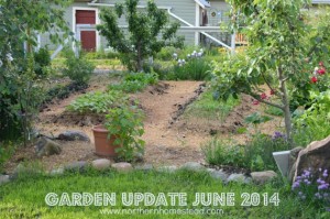 Garden Update June 2014