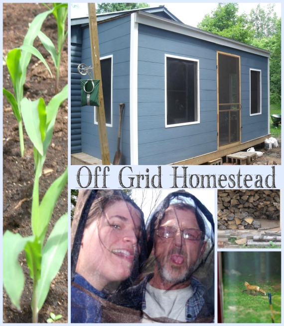 Off Grid Homestead