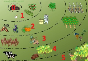 Permaculture Zones on 1/8 of an Acre