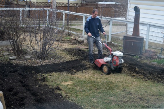 Replace Your Lawn With Food Production