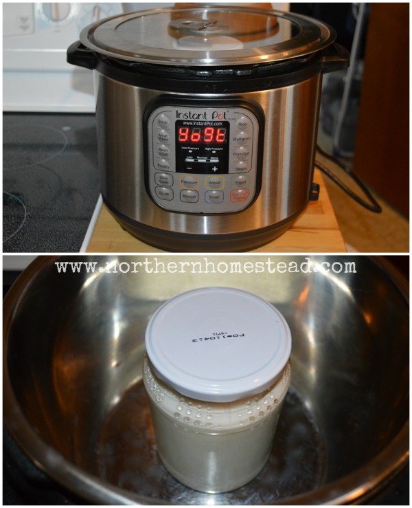Homemade Sour Cream - Instant Pot version