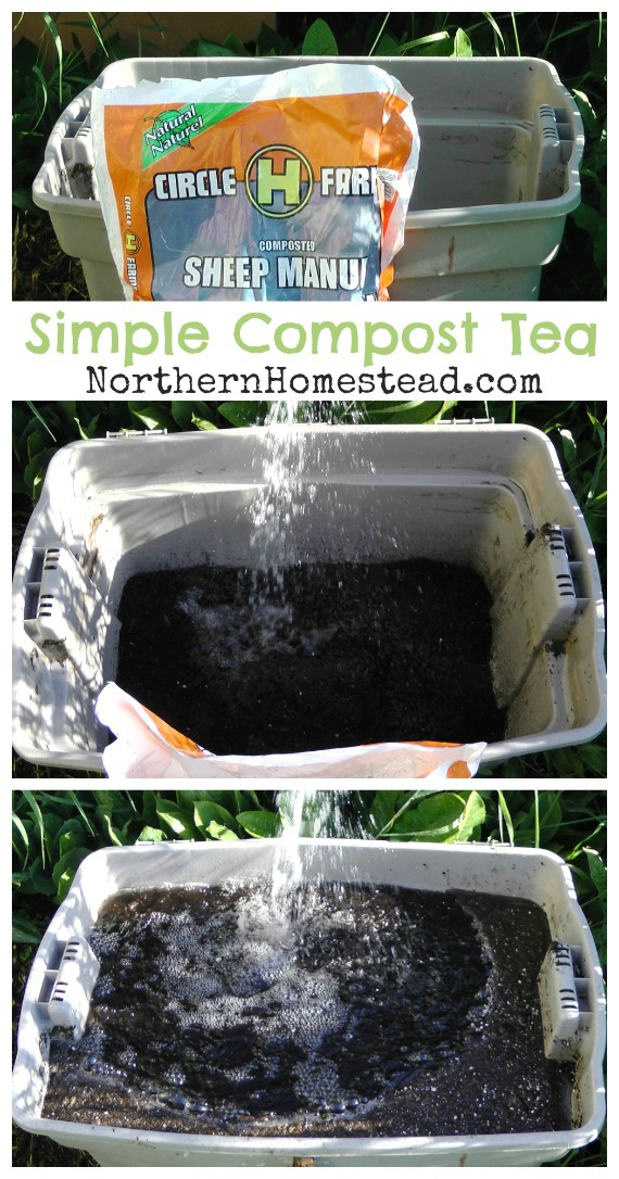 How to Make Simple Compost Tea