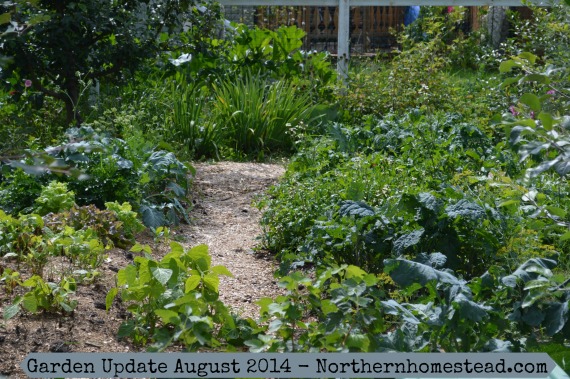 Farm Garden and Garden Update
