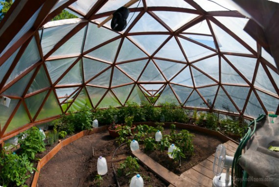 Greenhouse Domes Geodesic Greenhouses Geodesic Greenh - vrogue.co