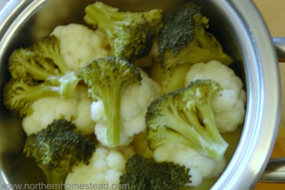 How To Steam Vegetables Without Steamer Basket 