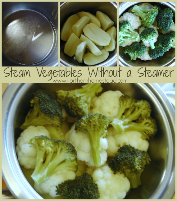 How to Steam without a Steamer